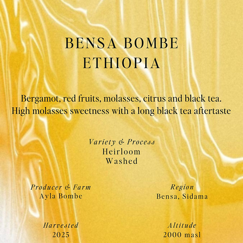 SUMO | BENSA BOMBE ETHIOPIA 250 G