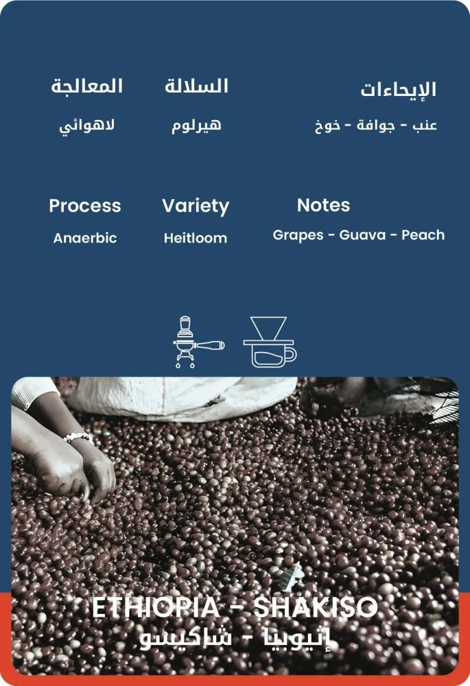30Wet | Ethiopia Shakiso 250G