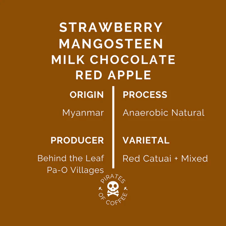 PIRATES COFFEE Myanmar PA-O Filter 250G