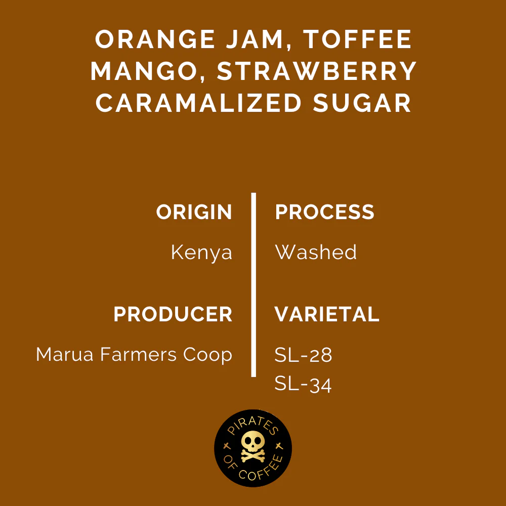 Pirates Coffee | Kenya Orange Mamba 250G