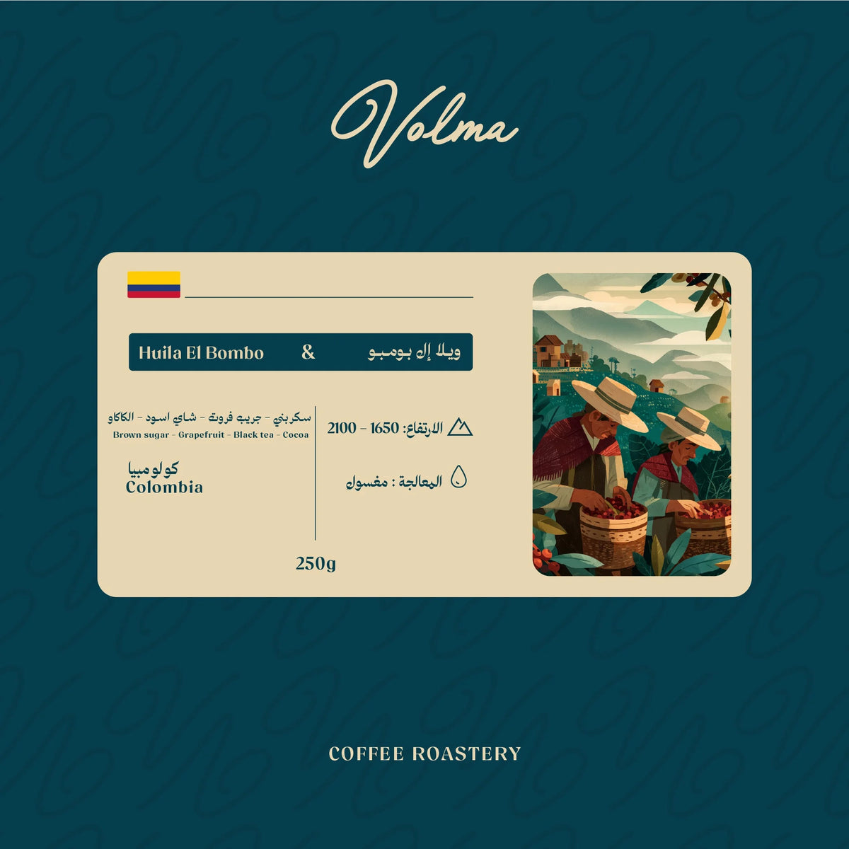 VOLMA Ethiopian specialty coffee sachets