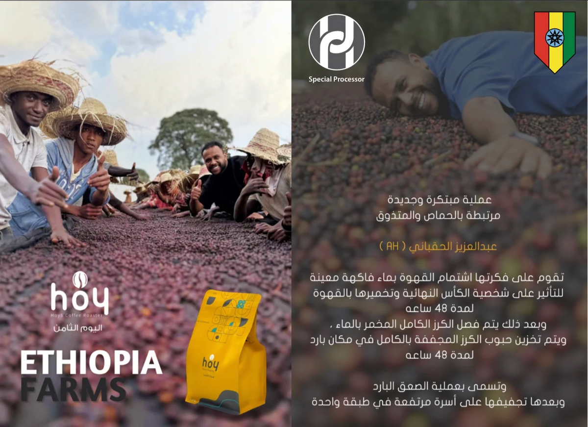 HOY8 | Ethiopia Hawar 250G