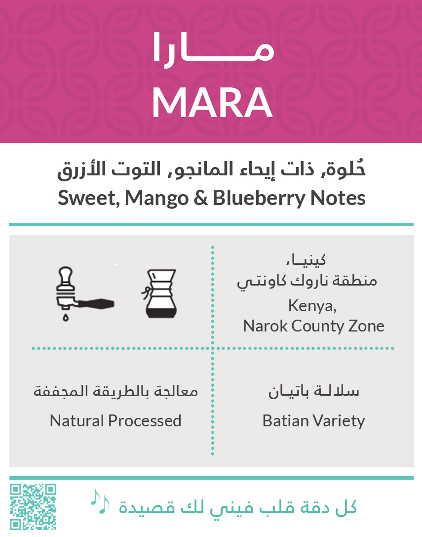 KIFFA Kenya Mara Drip Coffee 5pcs