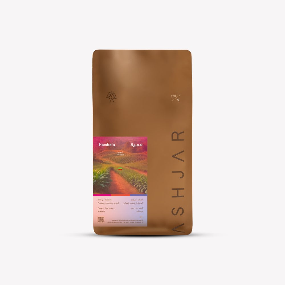 Ashjar Hambela Guji - 250g