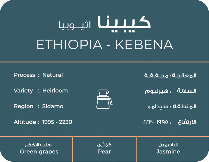 SOUTH Ethiopia Kebena Filter 250G