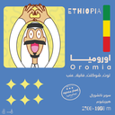 OLALA | Ethiopia Oromia 250G