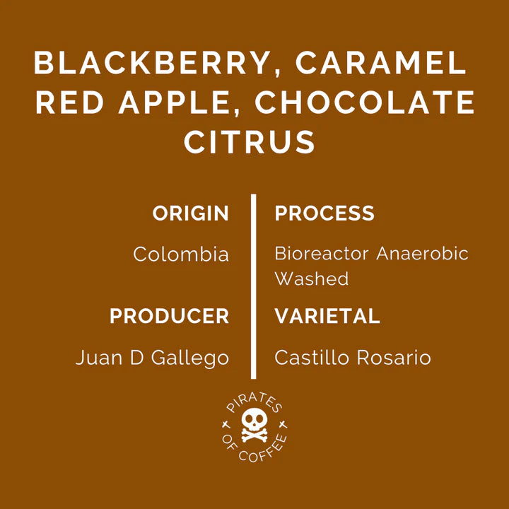 PIRATES COFFEE Colombia BIO 250G