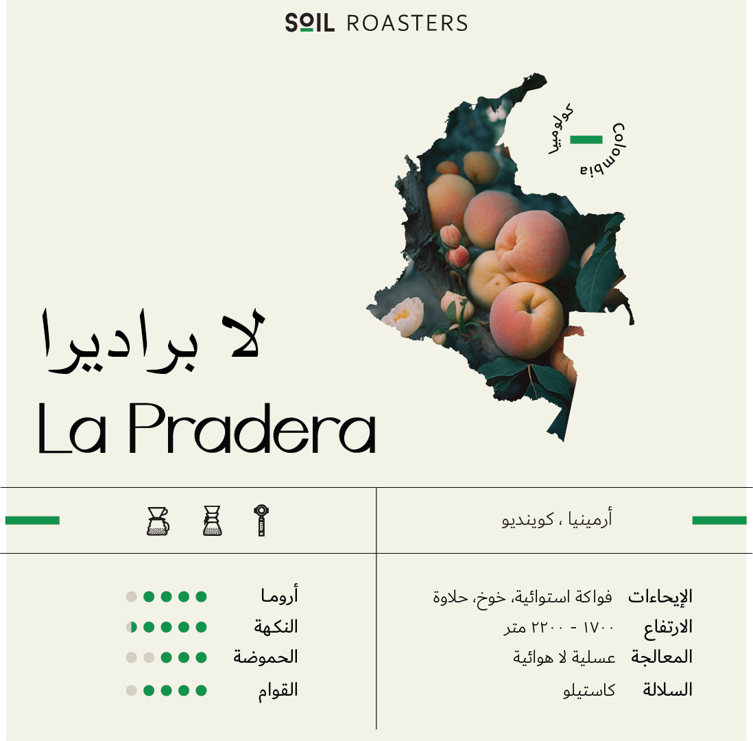 SOIL | Colombia La Pradera 250G