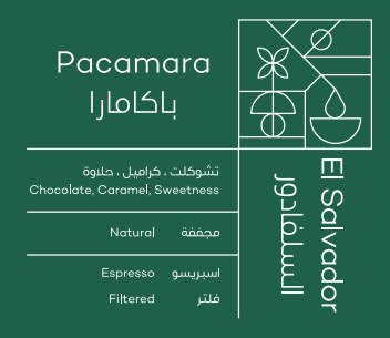 RAWI El Salvador Pacamara 250G