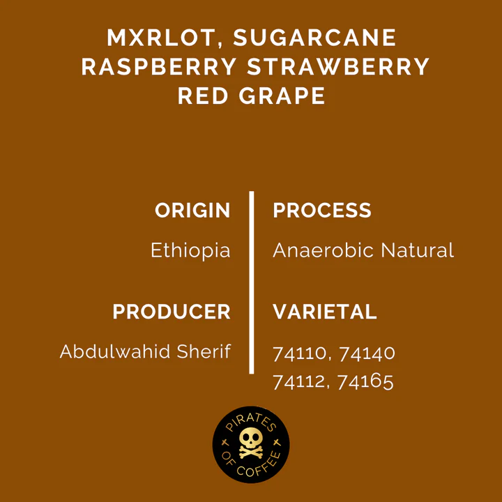 Pirates Coffee | Ethiopia Merlot Filter 250G