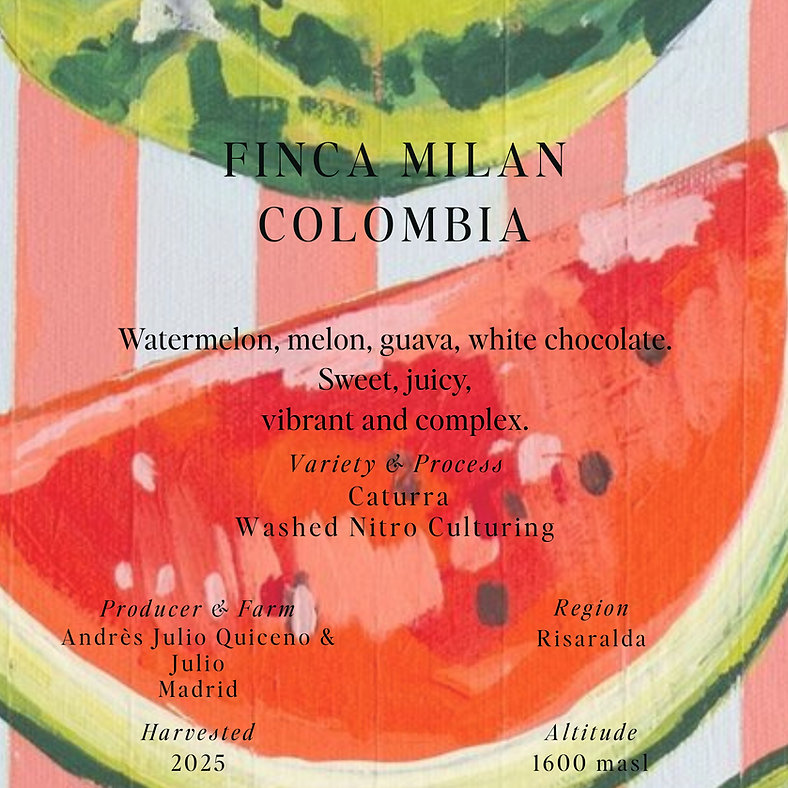 SUMO | FINCA MILAN COLOMBIA 250 G