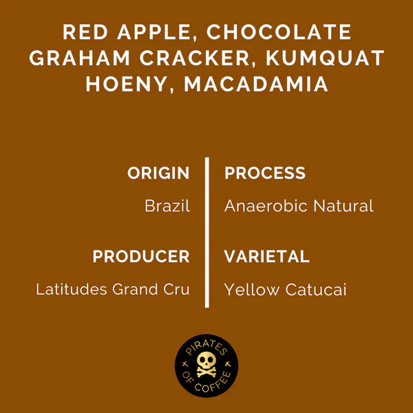 Pirates Coffee | Brazil Apple Pie Anaerobic 250G