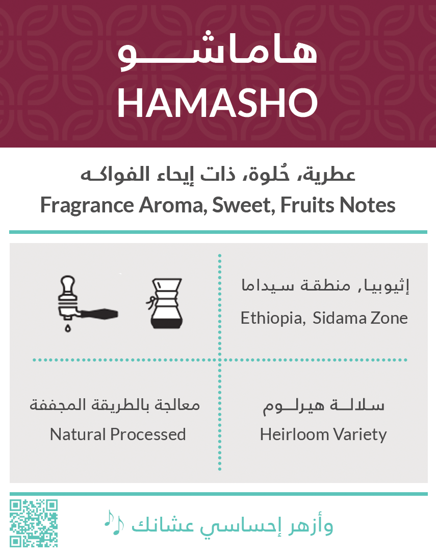 KIFFA Ethiopia Hamasho 1kg