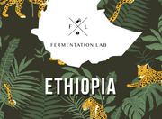 Fermentation Lab | Shantawane Filter 250G