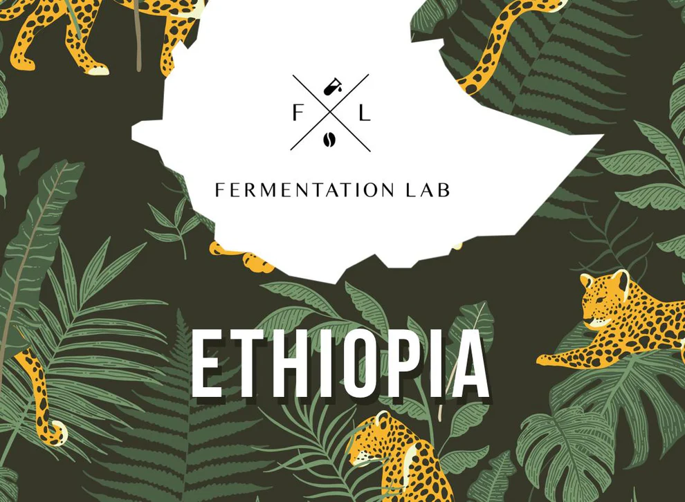 Fermentation Lab | Shantawane Filter 250G