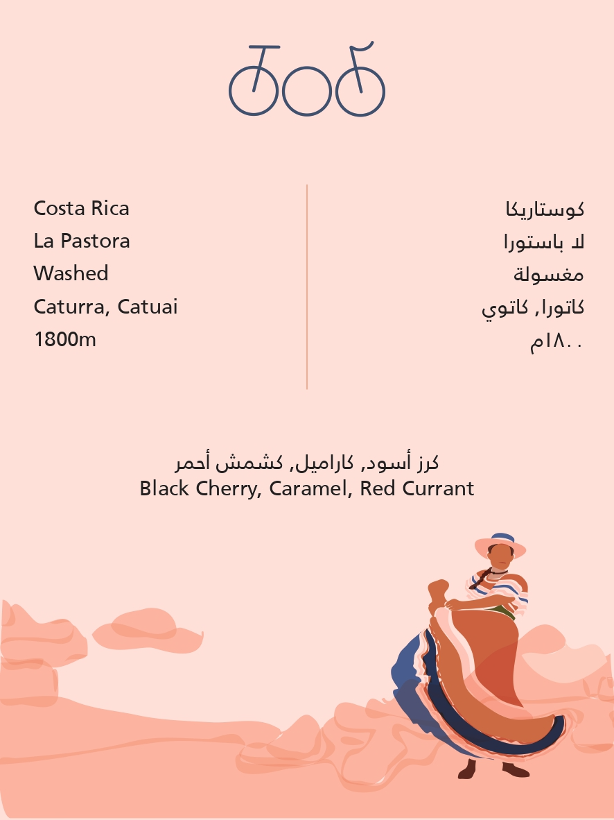 Tricycle Roastery Costa Rica La Pastora 250G