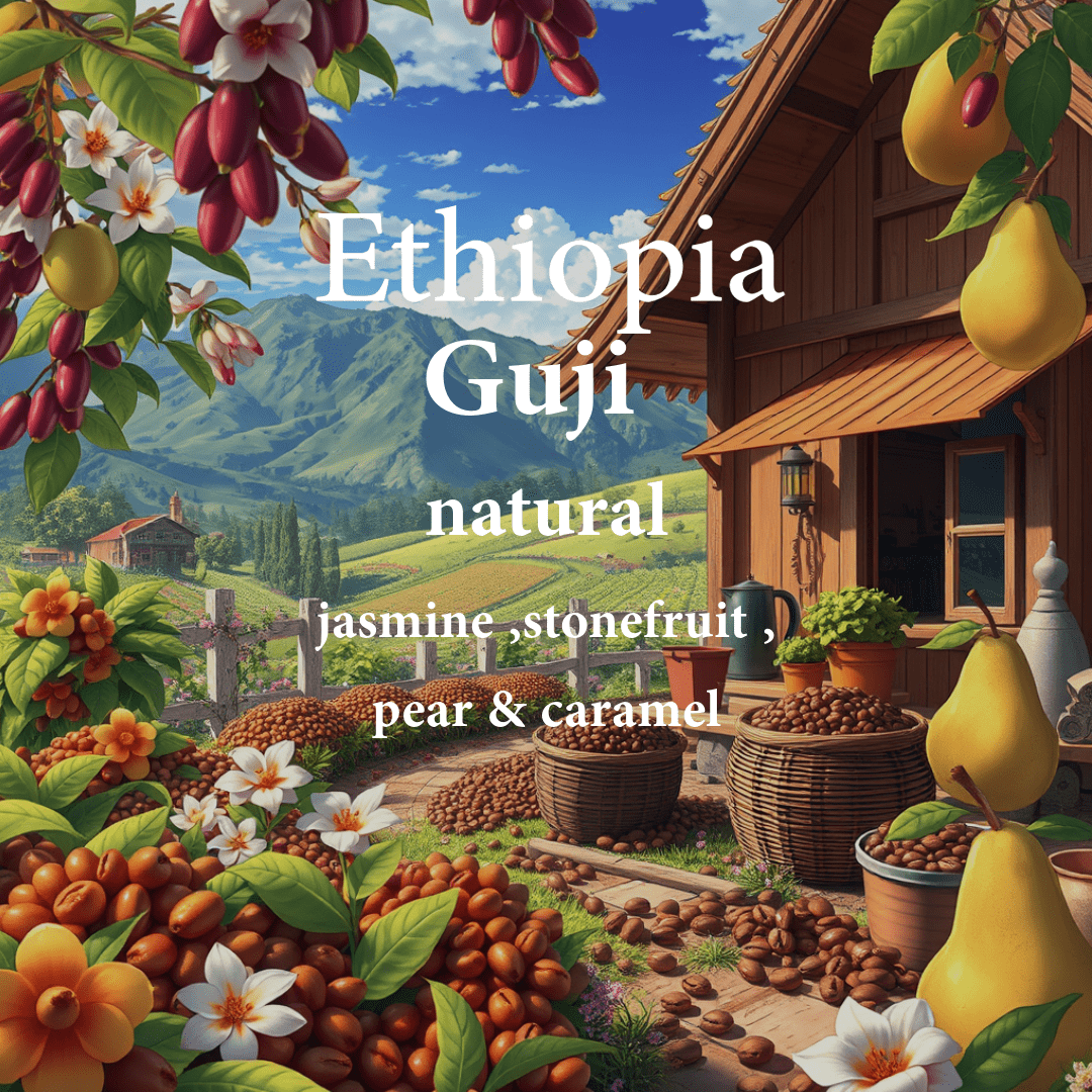 ALEZ | Ethiopia Guji 250G