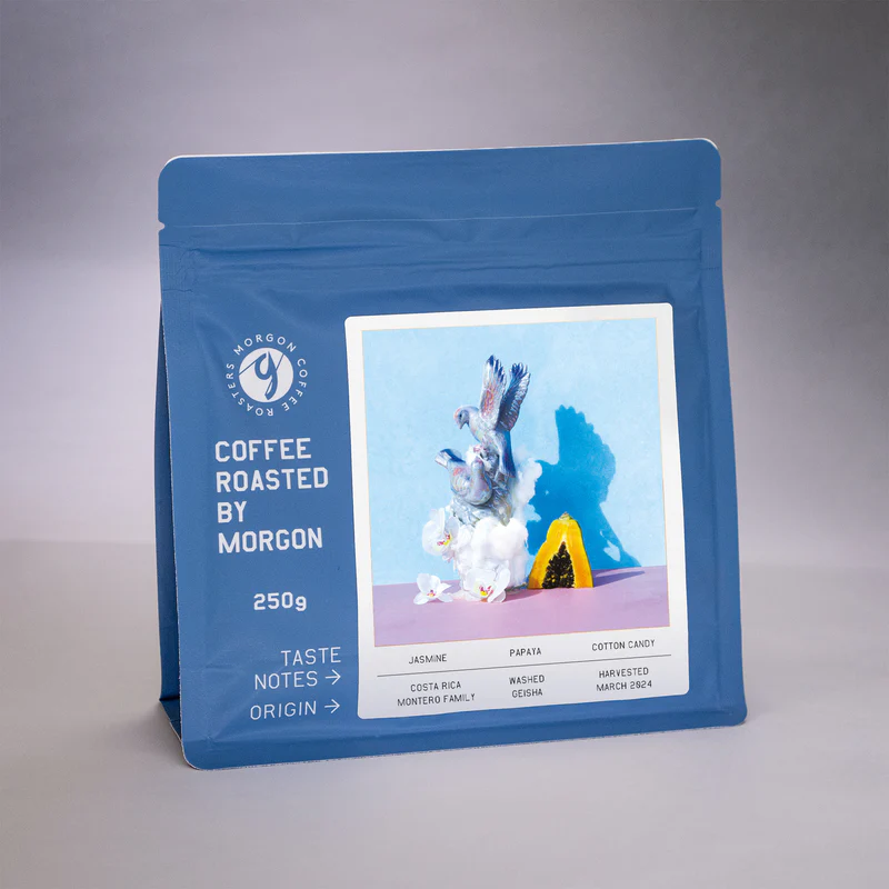 Morgon | Costa Rica Montero Family Washed Filter GEISHA