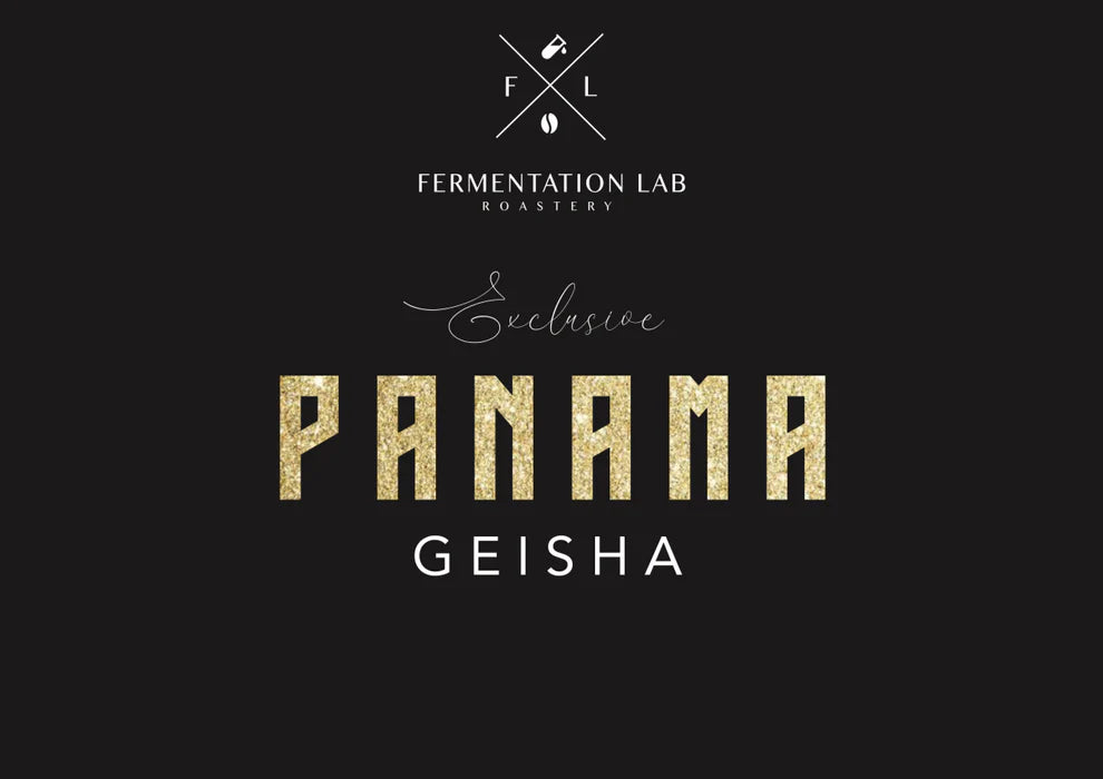 FERMENTATION LAB PANAMA GEISHA 100G