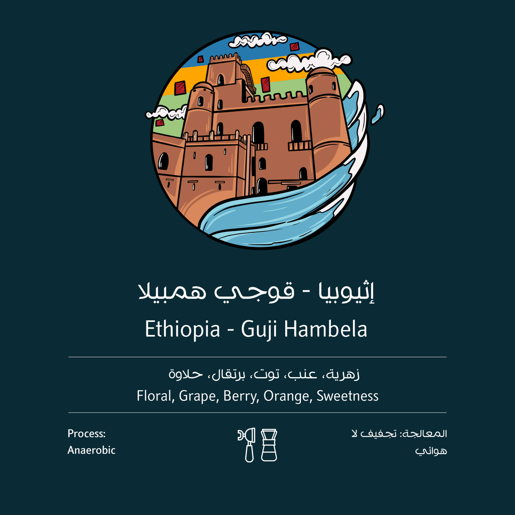 OSTOOL Ethiopia Guji Hambela 250G