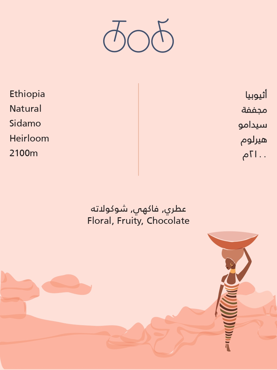 TRICYCLE Ethiopia Sidamo Natural 250G