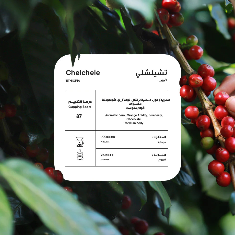 PICCOLO Ethiopia Chelchele 250G