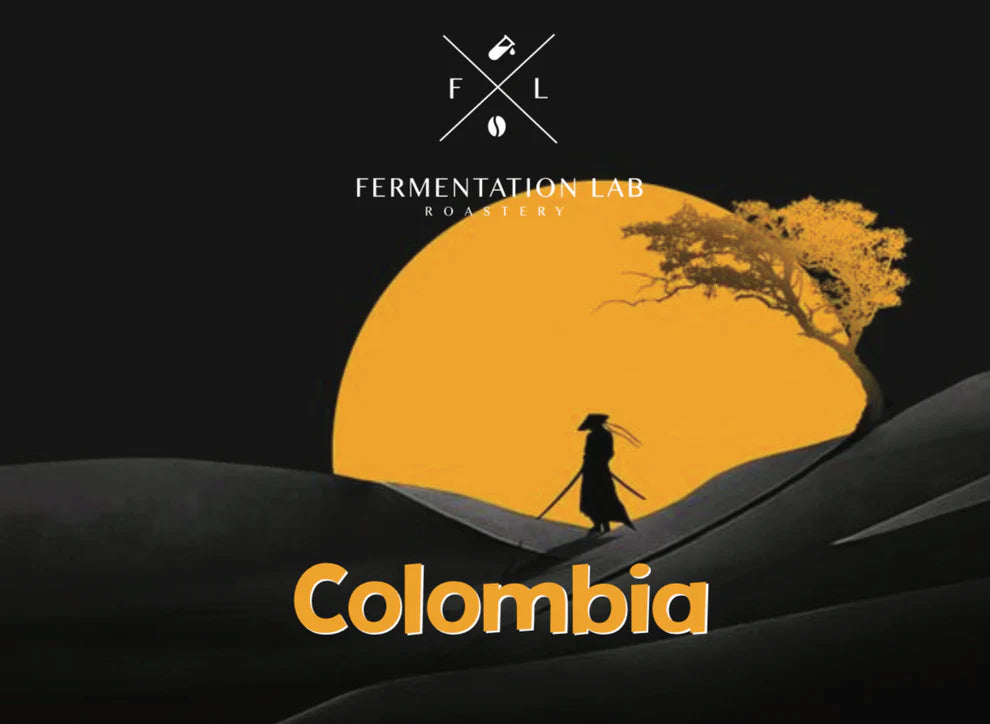 Fermentation Lab | Colombia Professor 250G