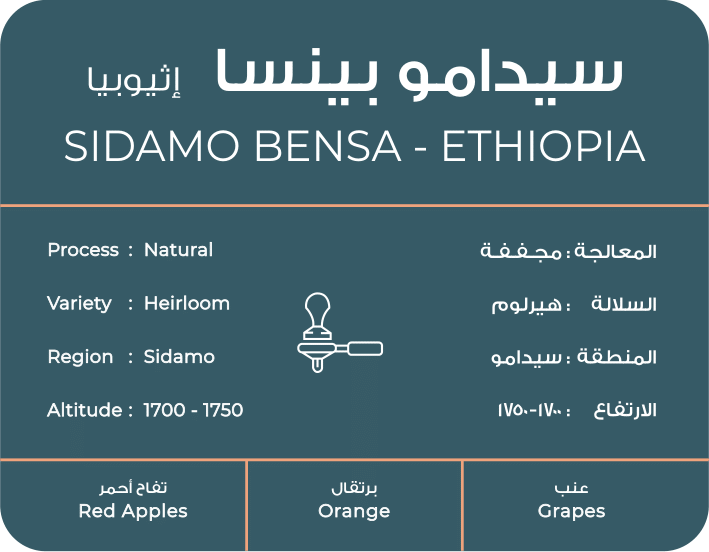 SOUTH Ethiopia Sidamo Bensa Espresso 250G