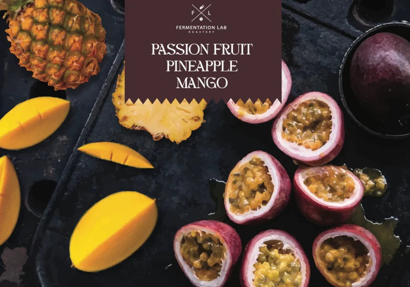 Fermentation lab | Colombia Passion 100G
