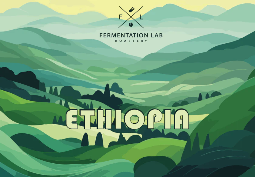 Fermentation Lab | Ethiopia Fruit Filter 250G