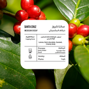 Piccolo | Mexico DCAF 250G