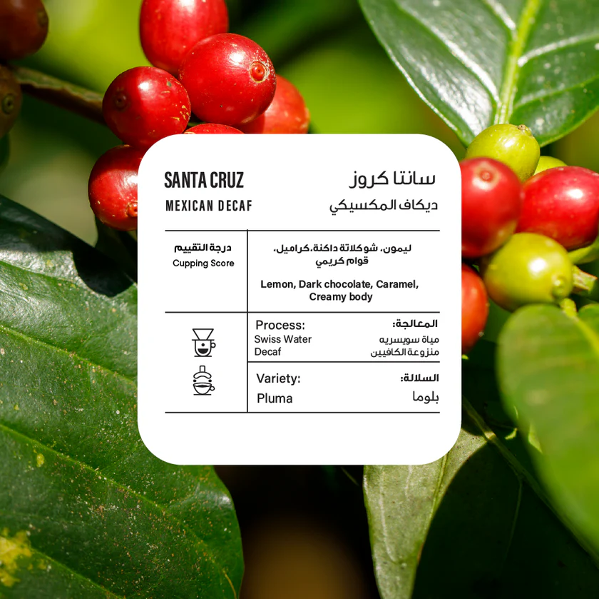 Piccolo | Mexico DCAF 250G