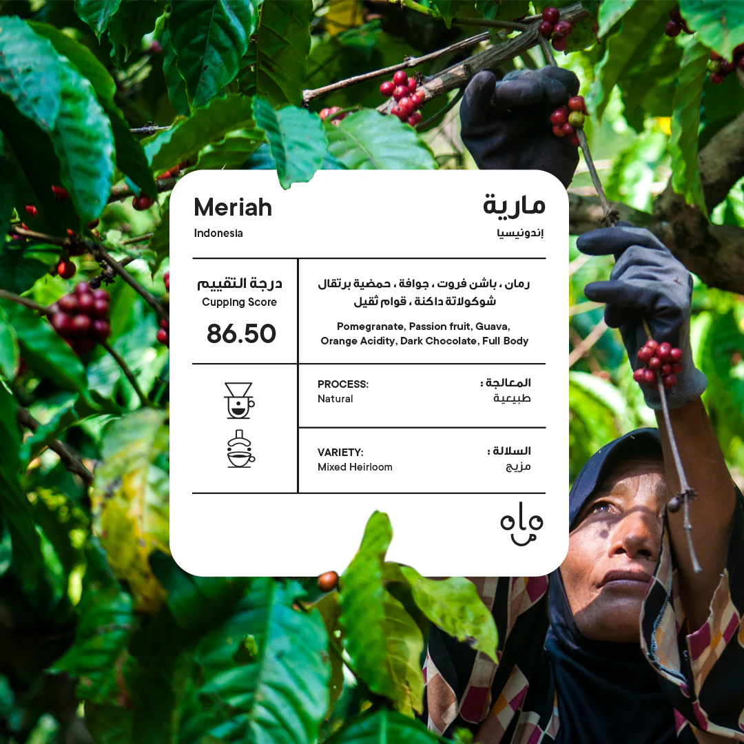 Piccolo | Indonesia Meriah Natural 250G