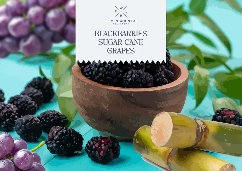 Fermentation Lab | Colombia Grape Filter 100G