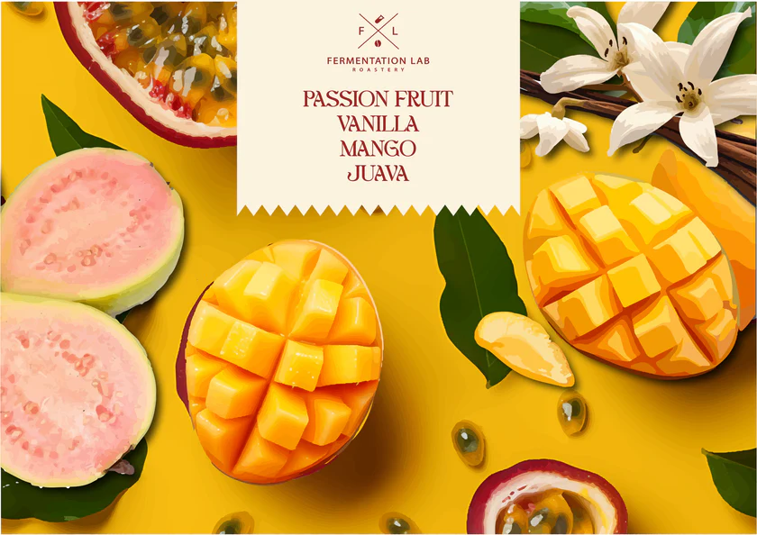 Fermentation Lab | Colombia Mango Filter 100G