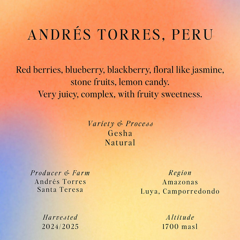 SUMO | Gesha Andres Torre Peru 250G
