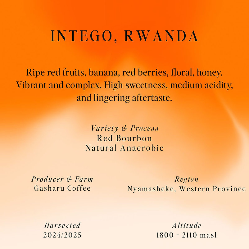 SUMO | Intego Rwanda 250G
