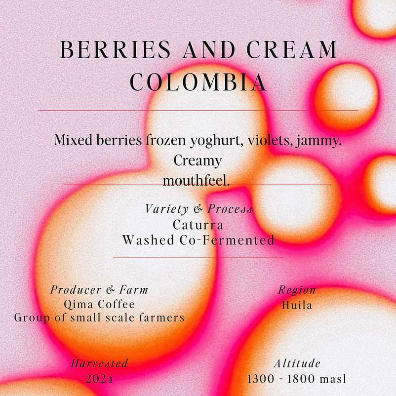 SUMO | Berries and Cream Colombia 250G