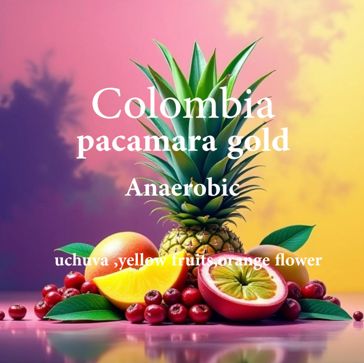 ALEZ | Colombia Pacamara Gold 250G