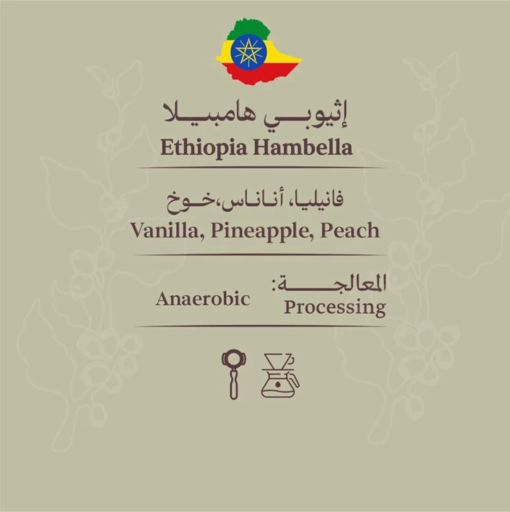 RoastMaster | Ethiopia Hambella 250G