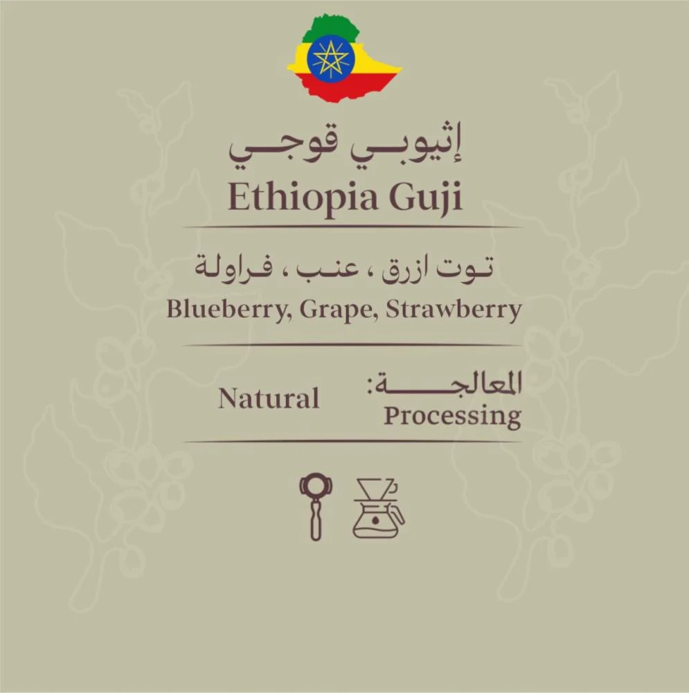 RoastMaster | Ethiopia Guji 250G