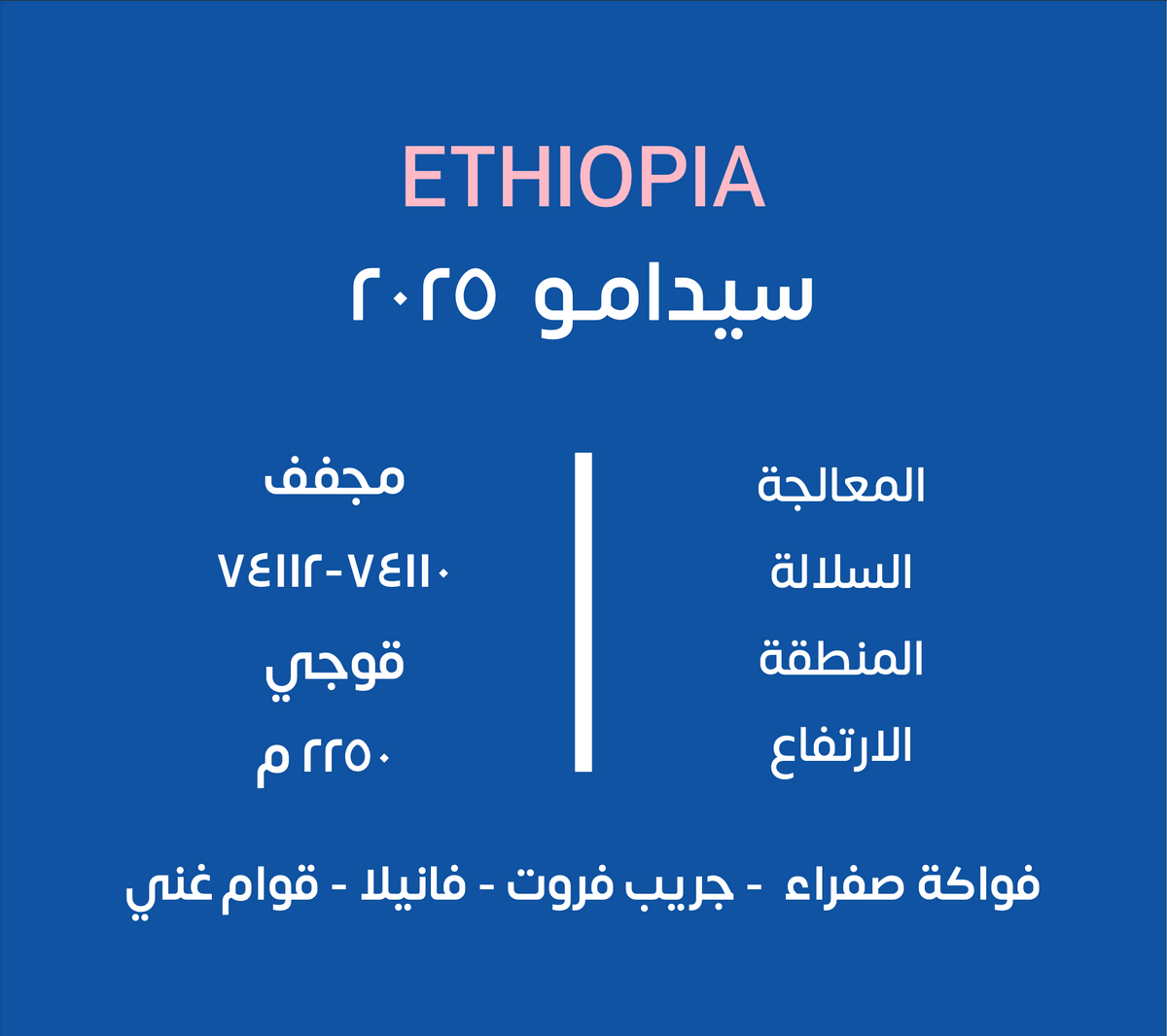 KUF | Ethiopia Sidamo 250G