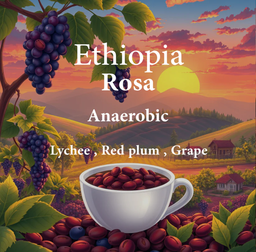 ALEZ | Ethiopia Rosa 250G