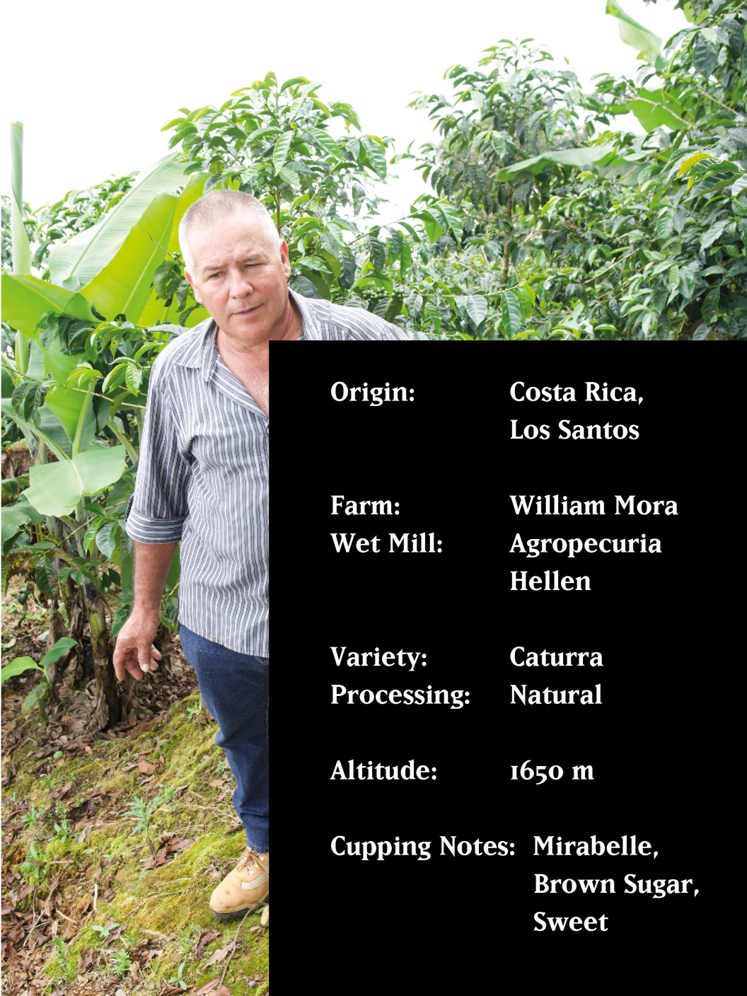MVSM Costa Rica William Mora 250G