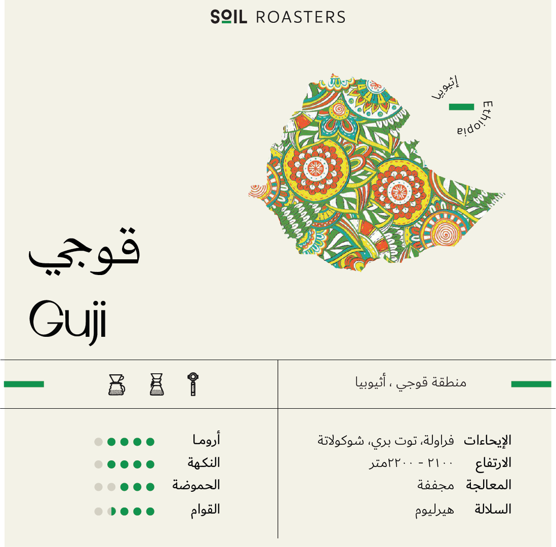 SOIL | Ethiopia Guji 250G