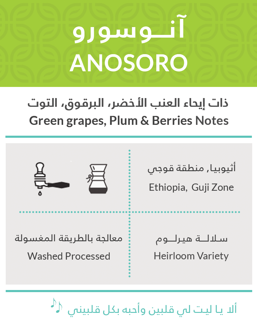 Kiffa | Ethiopia Guji Anosoro 250G
