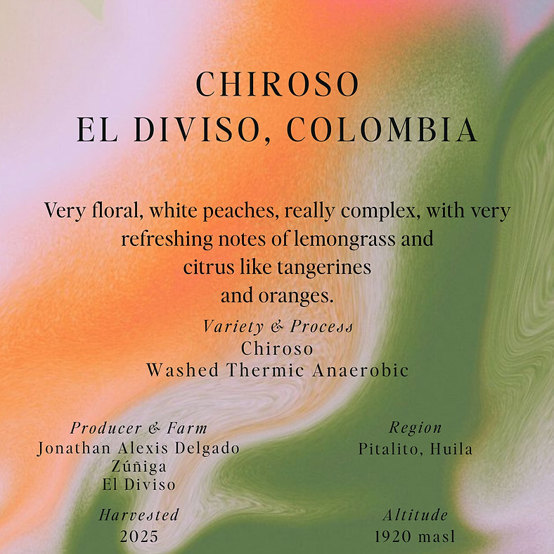 SUMO | CHIROSO EL DIVISO COLOMBIA 250G