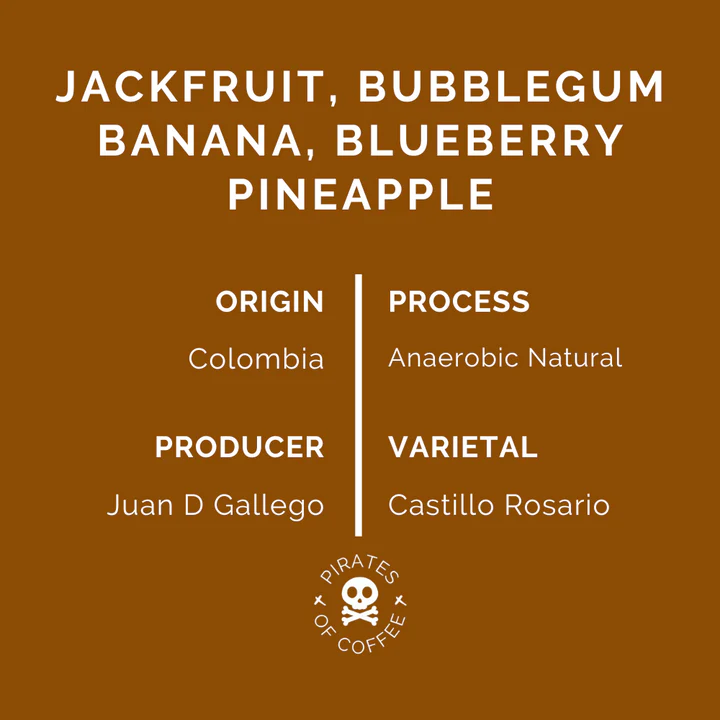 PIRATES OF COFFEE Colombia Jazzy Fruit FILTER 250G