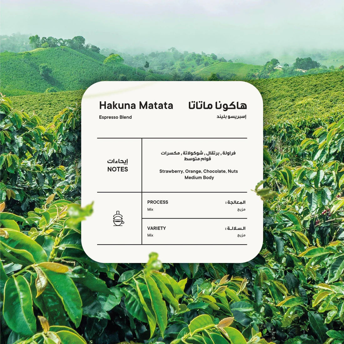 PICCOLO Hakuna Matata Espresso Blend 250G