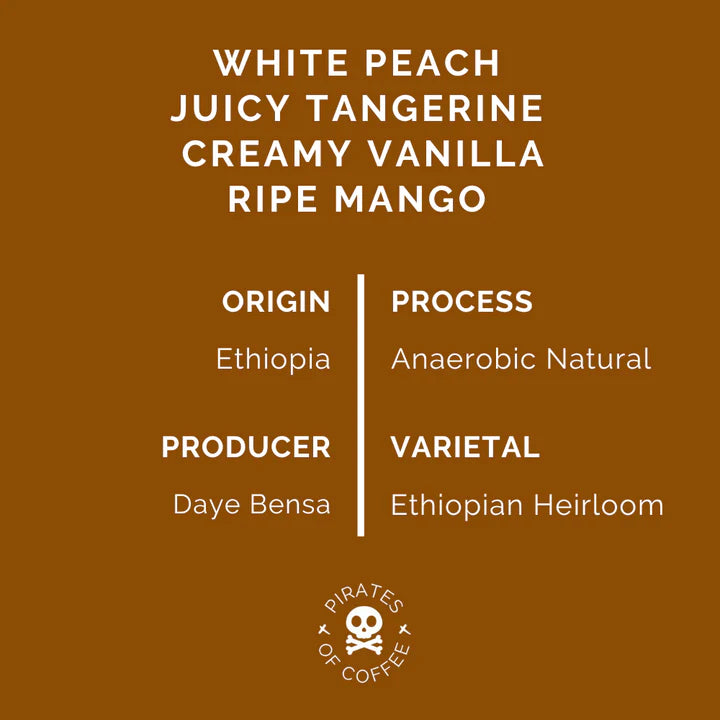 PIRATES OF COFFEE | Ethiopia Hamasho ESP 250G